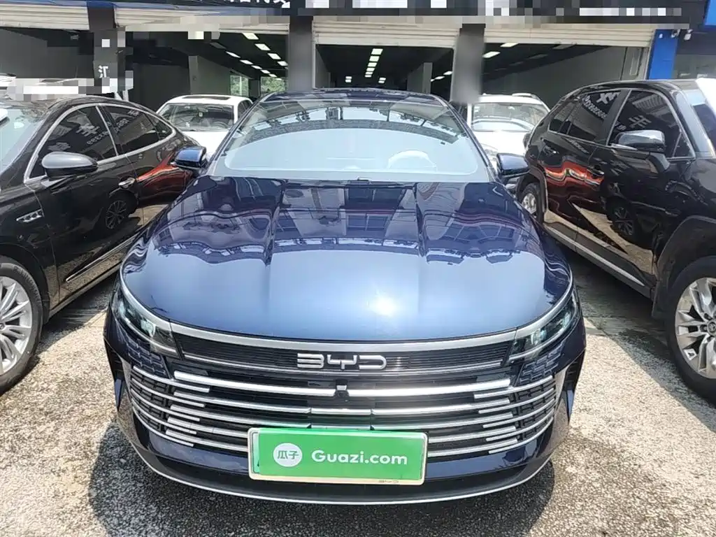BYD Destroyer 05 2024 Glory Edition DM-i 55KM Luxury фото 3
