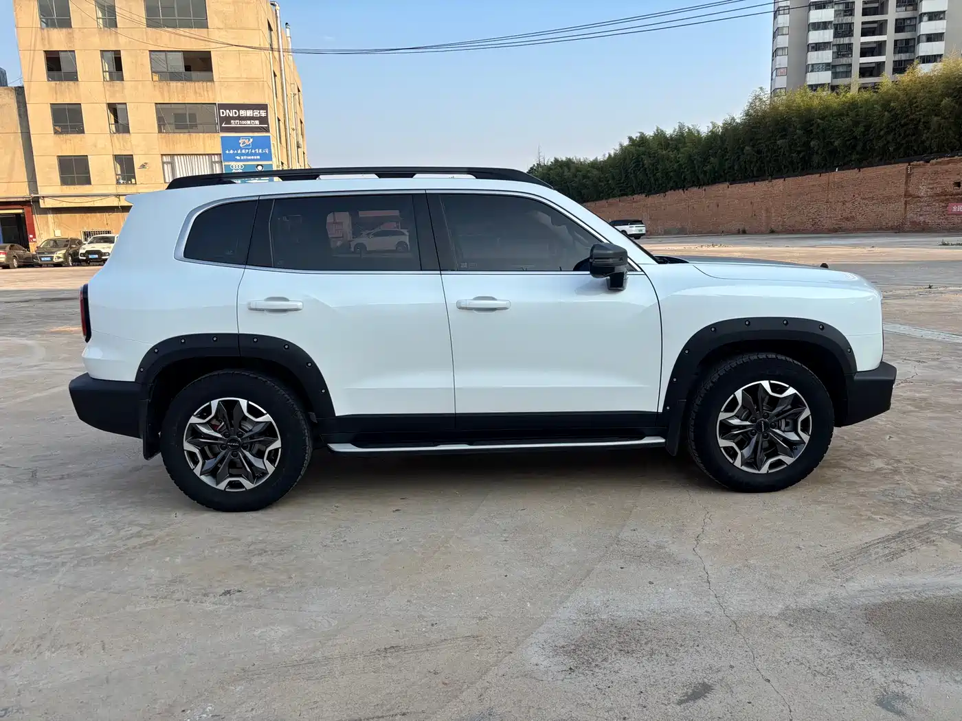Haval Big Dog 2022 2.0T DCT 4WD Chinese Rural Dog Hunting Edition фото 4