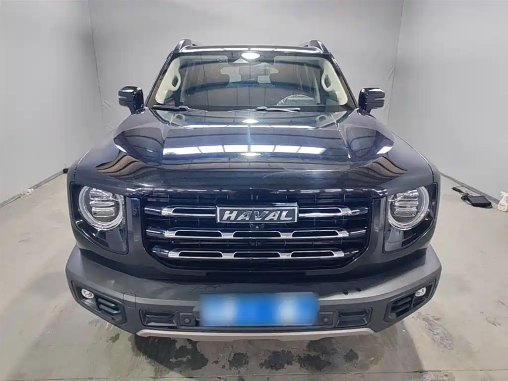 Haval Big Dog 2021 1.5T DCT 2WD Border Collie Edition фото 3