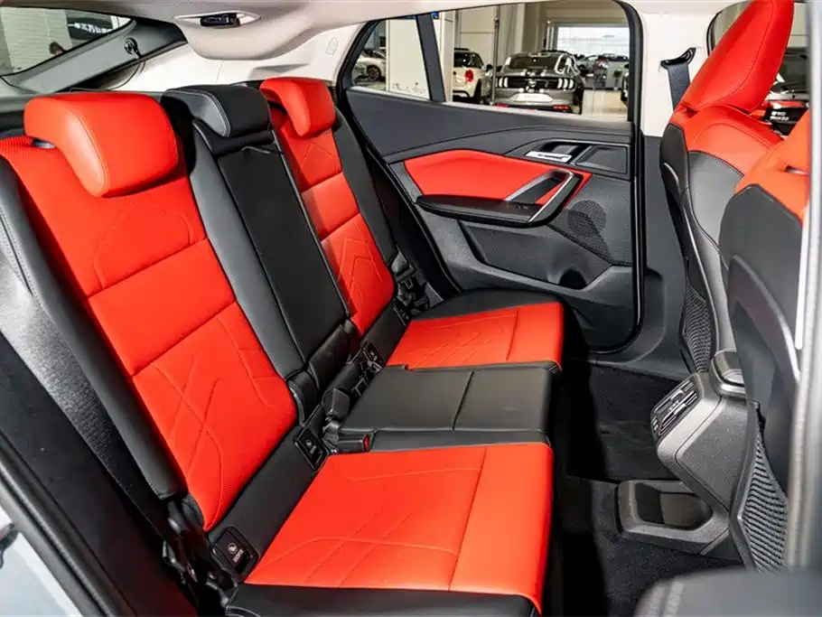 BMW X2 (Import) 2024 sDrive25i M Sport Package фото 23