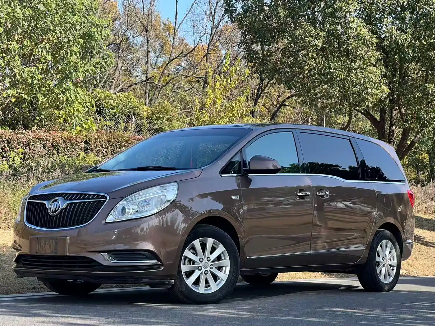 Buick GL8 2018 28T Luxury Model China VI