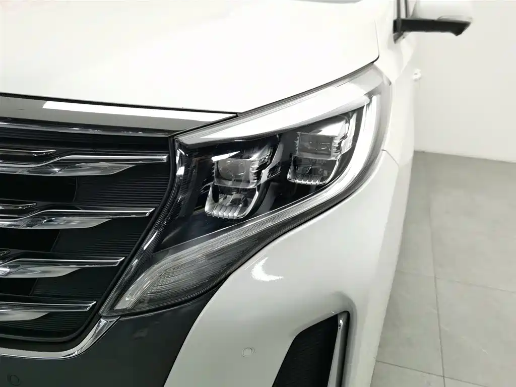 GAC Trumpchi Trumpchi M8 2020 Pilot 390T Ultimate Edition фото 7