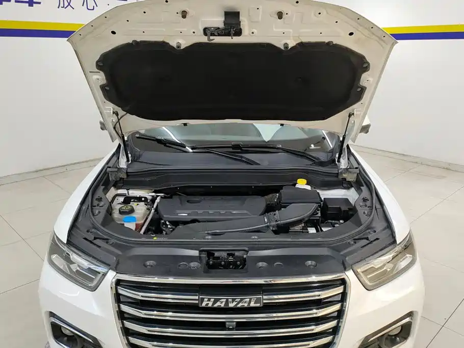 Photo 10 - Haval H6