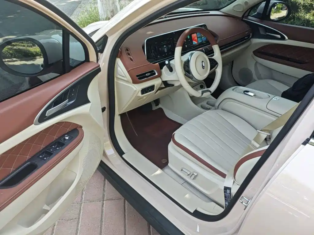 Ora Good Cat 2025 2024 501km Luxury