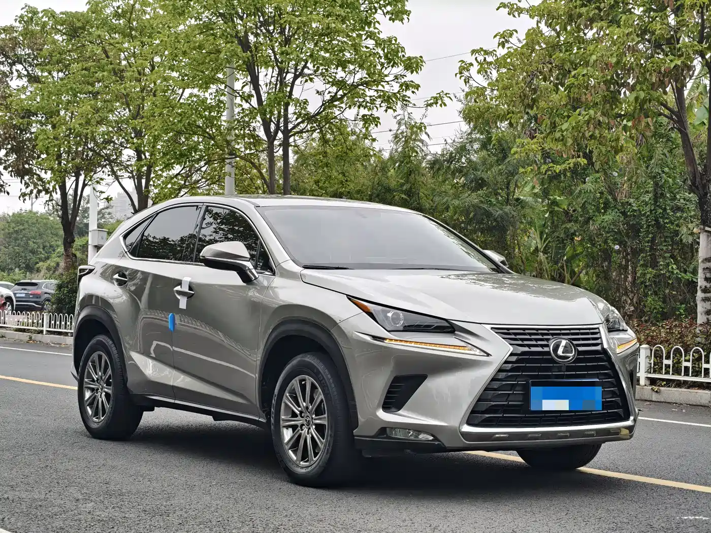 LEXUS NX