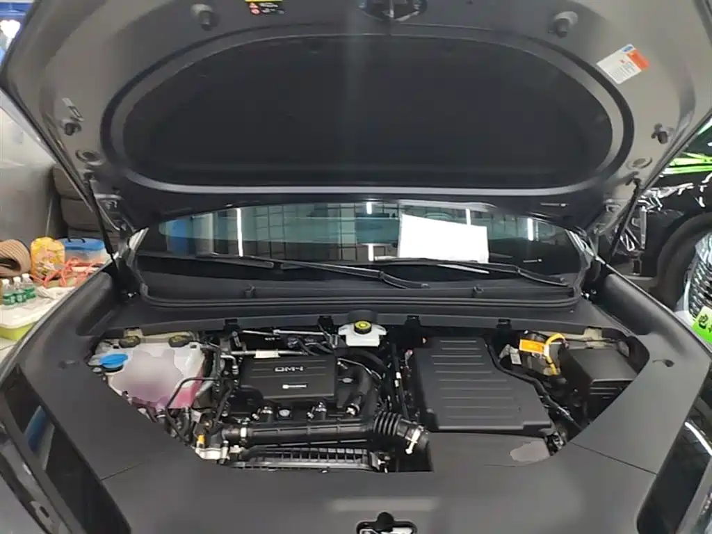 BYD Sealion 06 New Energy 2025 DM-i 170 Pilot Pro Edition фото 20