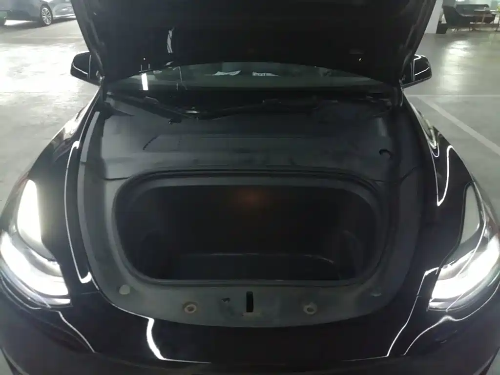 Tesla Model Y 2021 2021 Model Long Range AWD