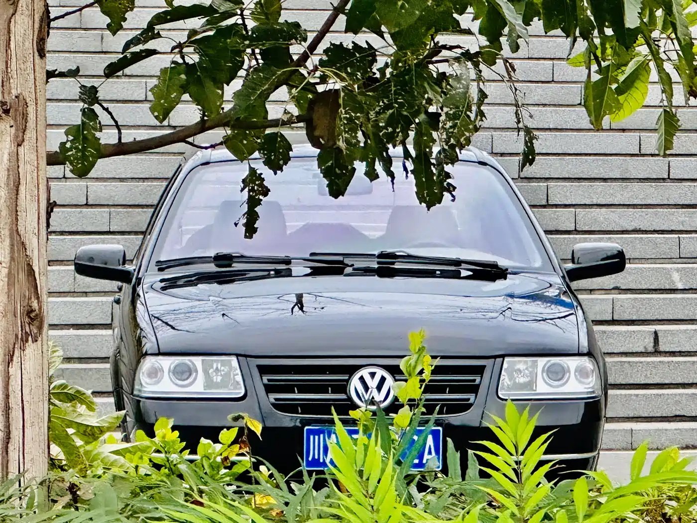 Volkswagen Santana Vista 2008 1.8L Manual Practical Style фото 8