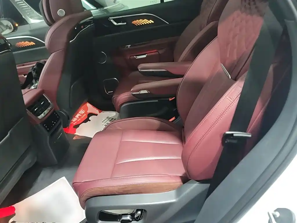 Hongqi E-HS9 2022 660km Qi Chang Edition (6-seater) фото 17