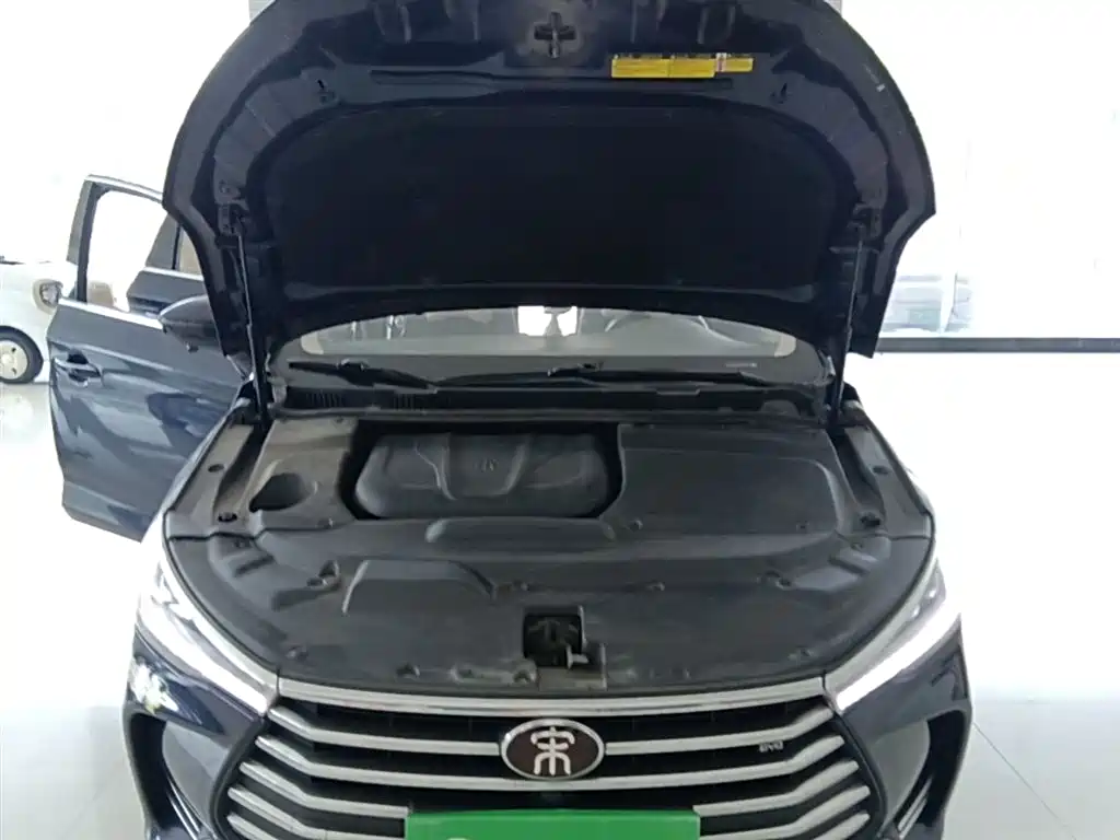 BYD Song MAX 2018 1.5T Auto Smart Connected Elite 6-Seater фото 20