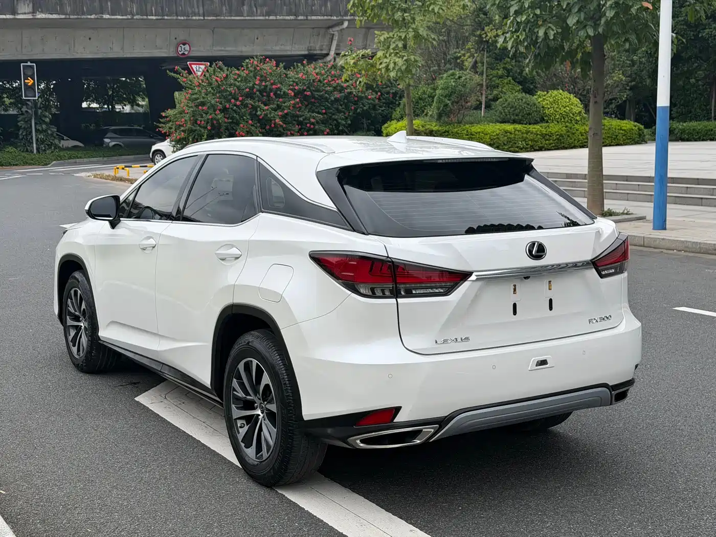 Фото 16 - Lexus RX