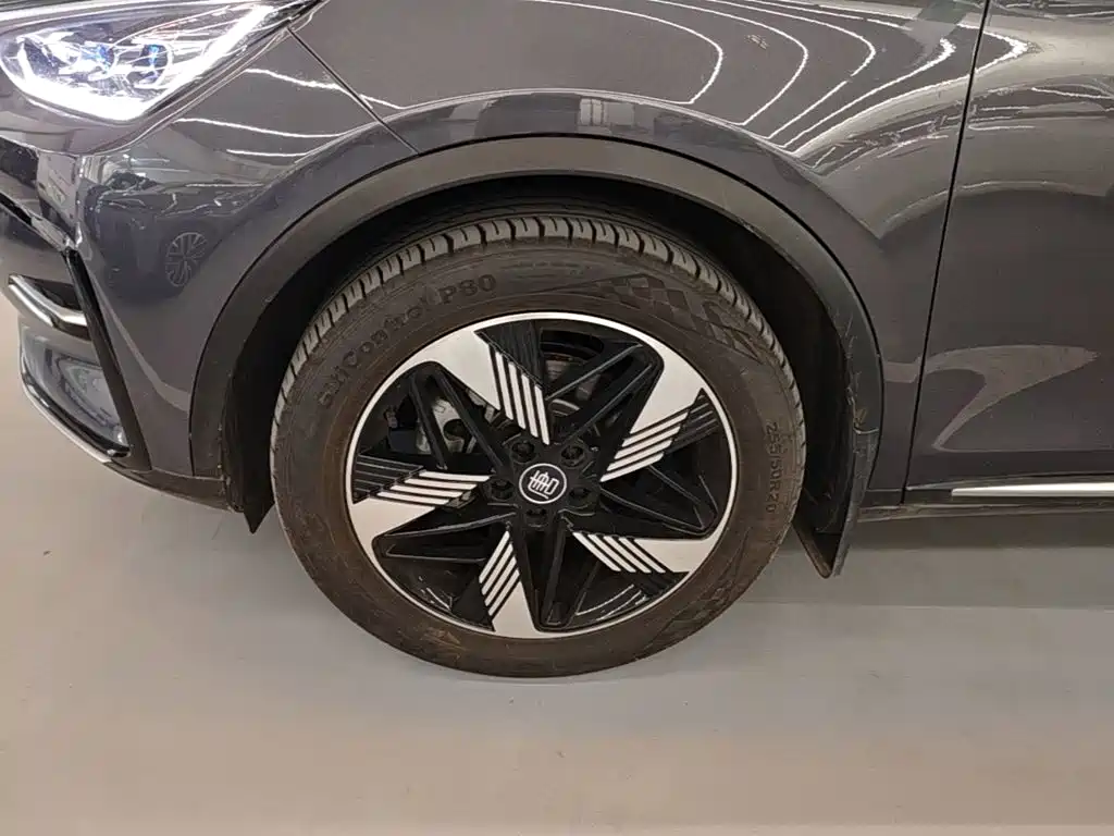 BYD Tang New Energy 2024 2023 Model DM-i Champion Edition 112KM Honor
