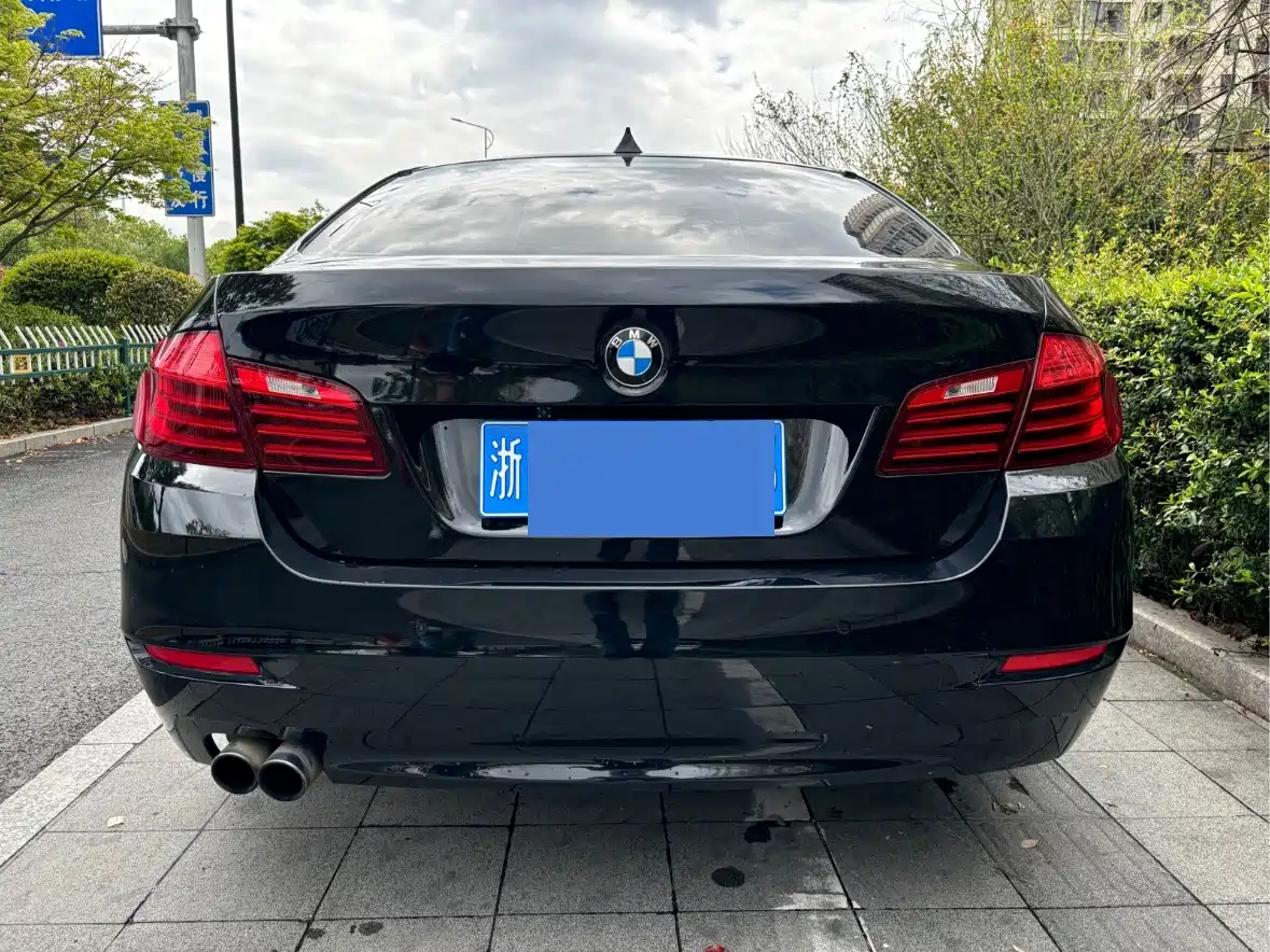 BMW 5 Series 2014 520Li Elegance фото 9
