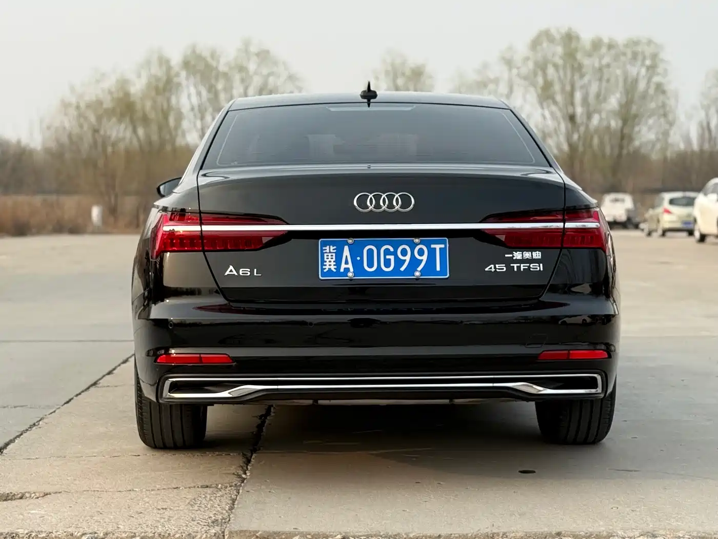 Audi A6L 2024 40 TFSI Luxury Elegance фото 12