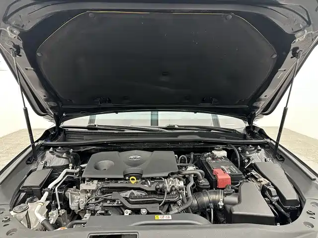 Toyota Avalon 2019 2.0L XLE Premium Edition (China VI) фото 18