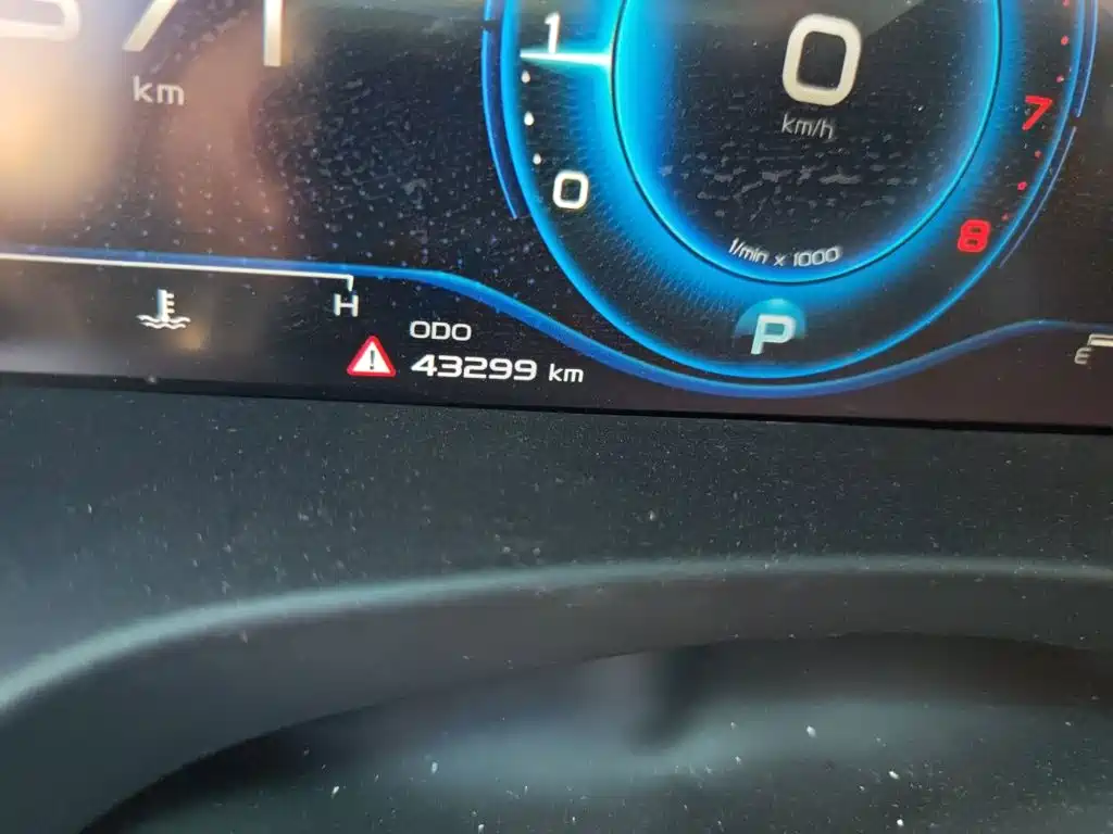 Фото 8 - Geely Borui