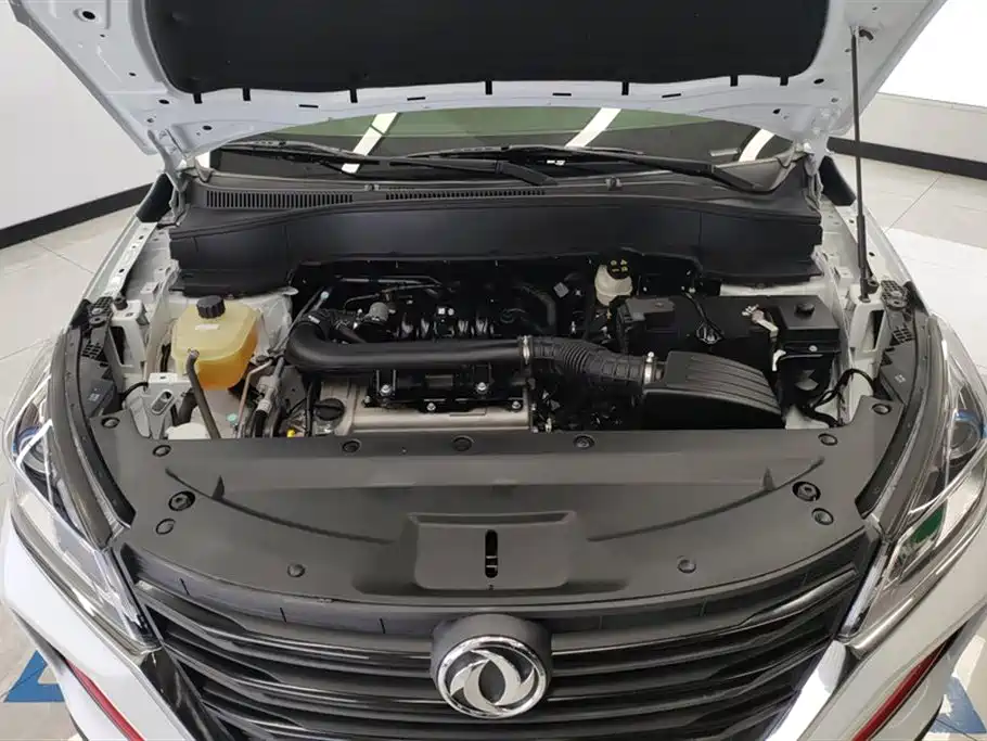 DONGFENG SCENERY 500