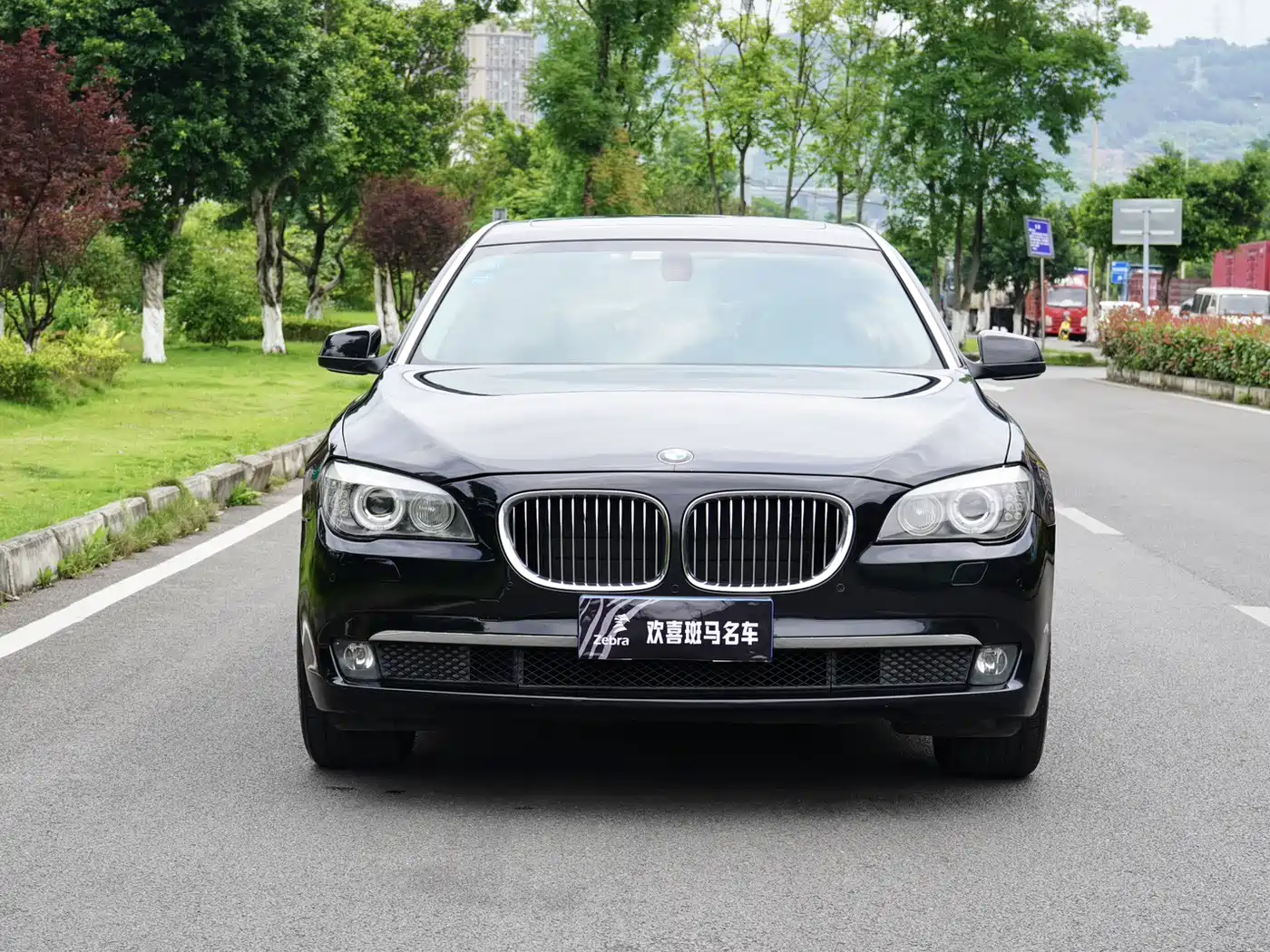 BMW 7 Series 2011 740Li Steinway Limited Edition фото 2