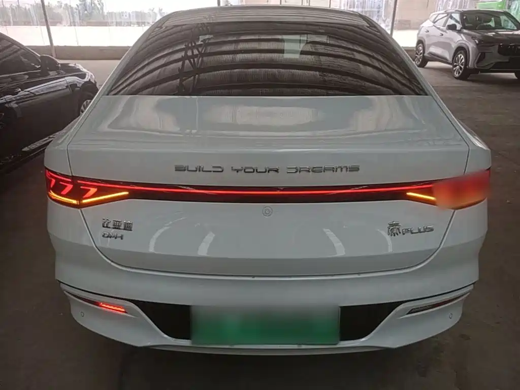 BYD Qin PLUS 2023 Champion Edition DM-i 55KM Leading фото 6