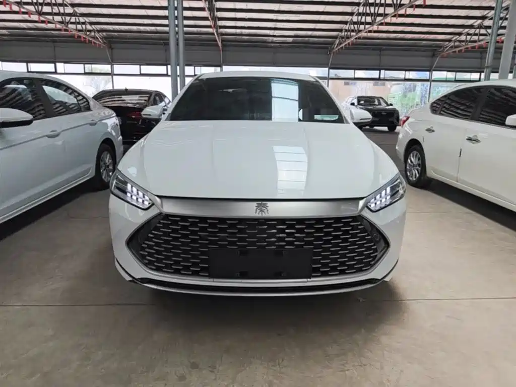 BYD Qin PLUS 2021 DM-i 55KM Premium фото 3