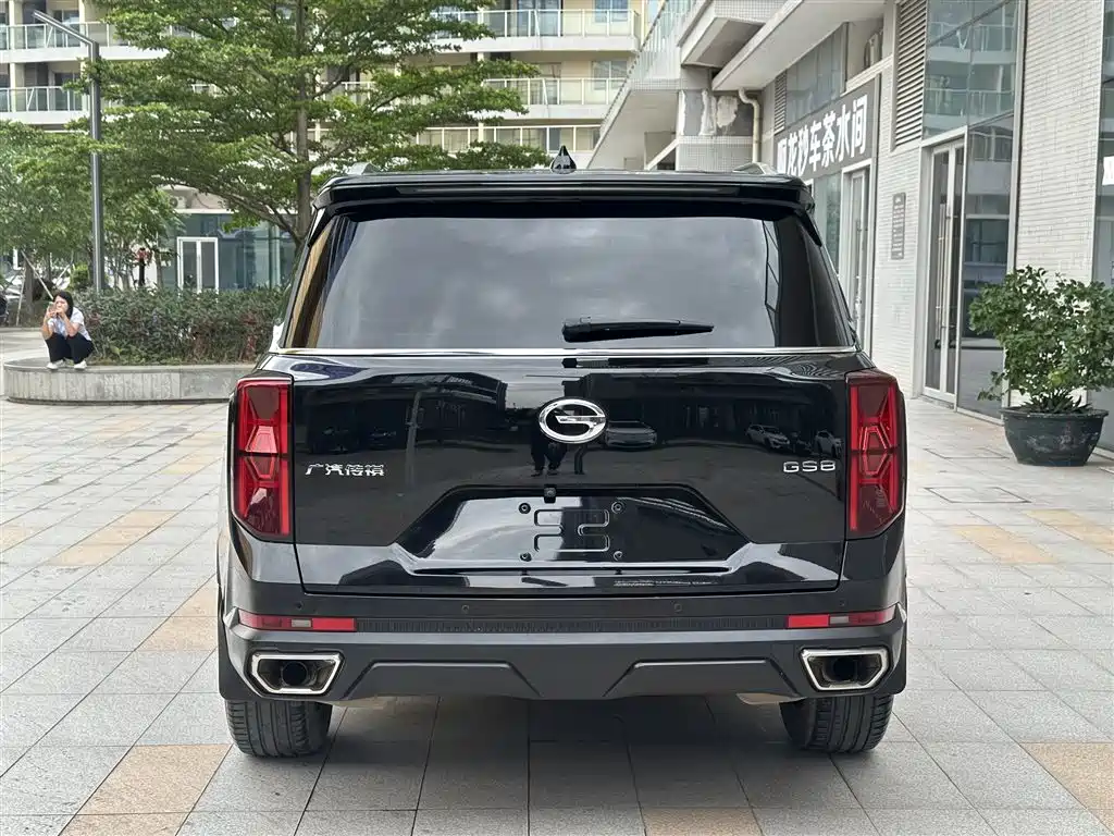 GAC Trumpchi Trumpchi GS8 2022 Pilot Series 2.0TGDI 2WD Luxury Smart Connect Edition (7-Seater) фото 12