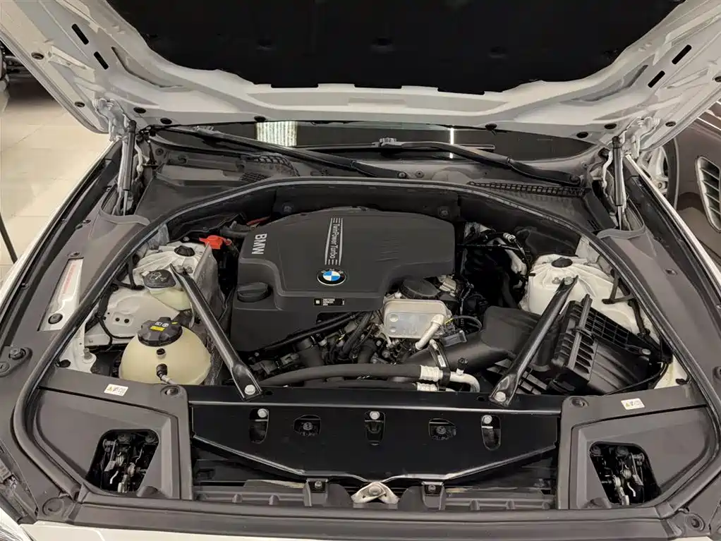BMW 5 Series 2017 525Li Leading Edition фото 13