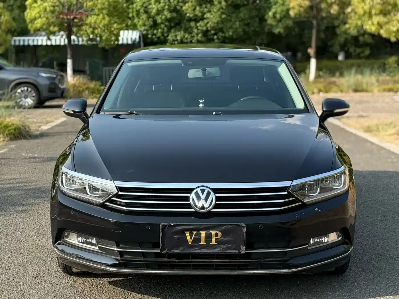 Volkswagen Magotan 2019 330TSI DSG Leading China VI фото 2