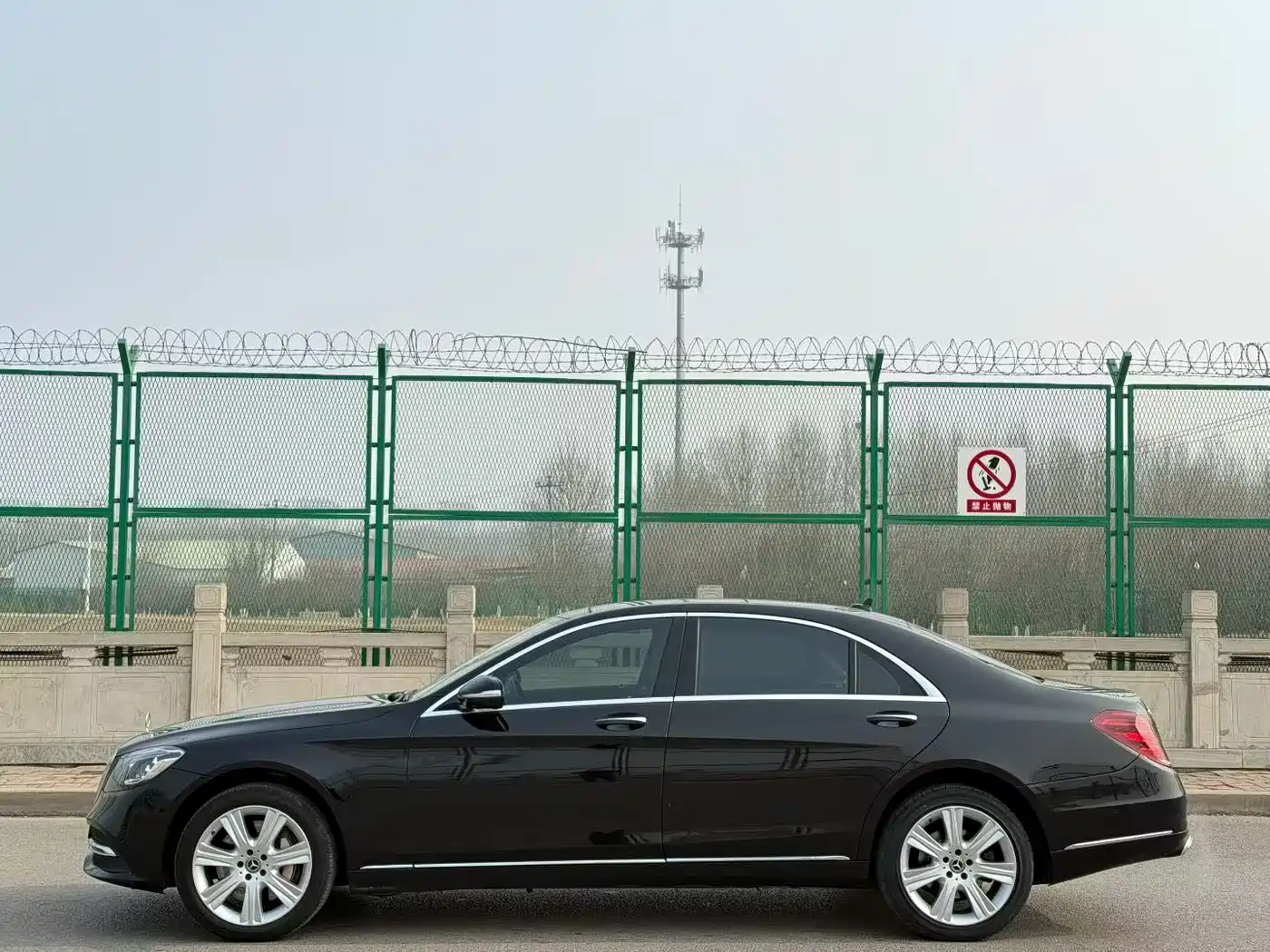 Mercedes-Benz S-Class 2016 S 400 L фото 8