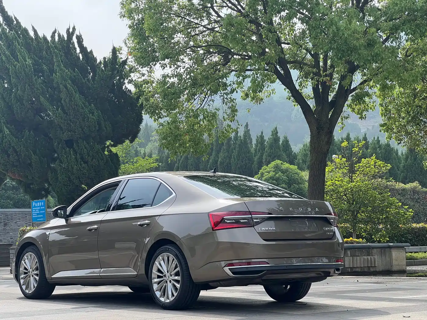 Škoda Superb 2019 TSI380 DSG Flagship Edition фото 16