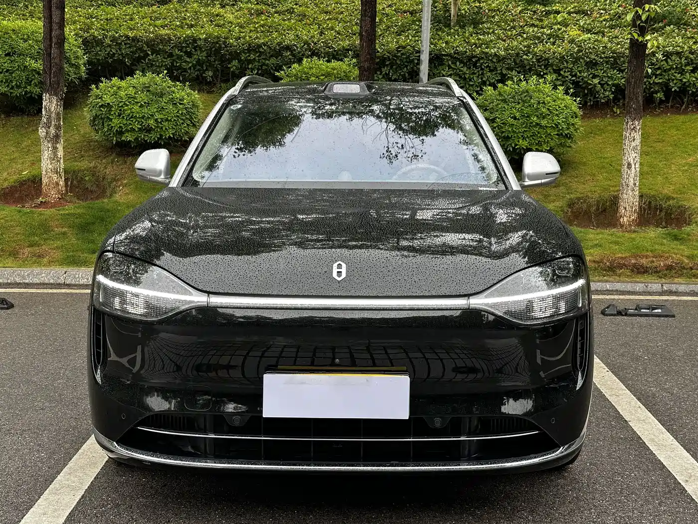 AITO Wenjie AITO M9 2024 Model Extended Range Ultra Edition 52kWh 5-Seater фото 2