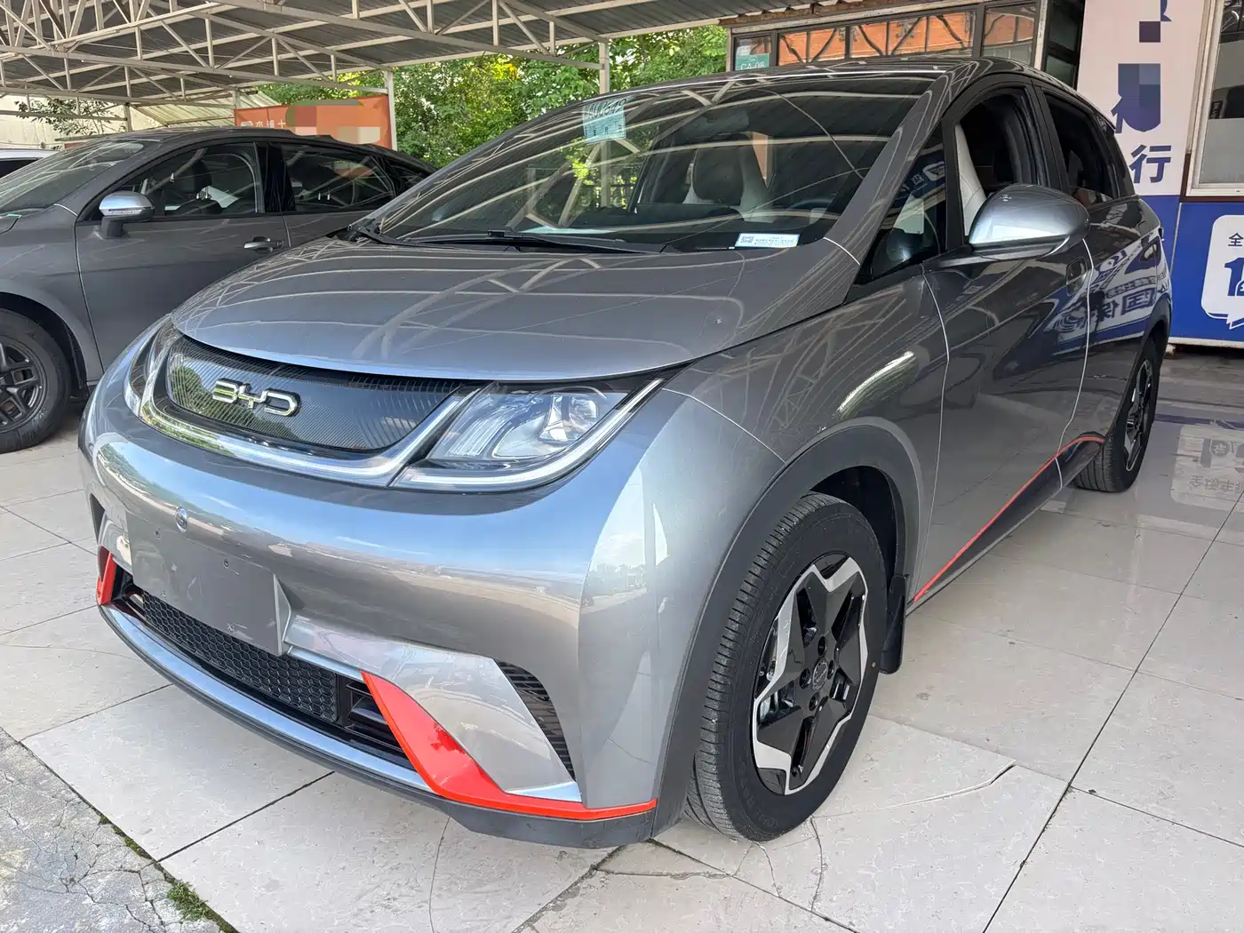 BYD Dolphin 2021 405km Freedom Edition