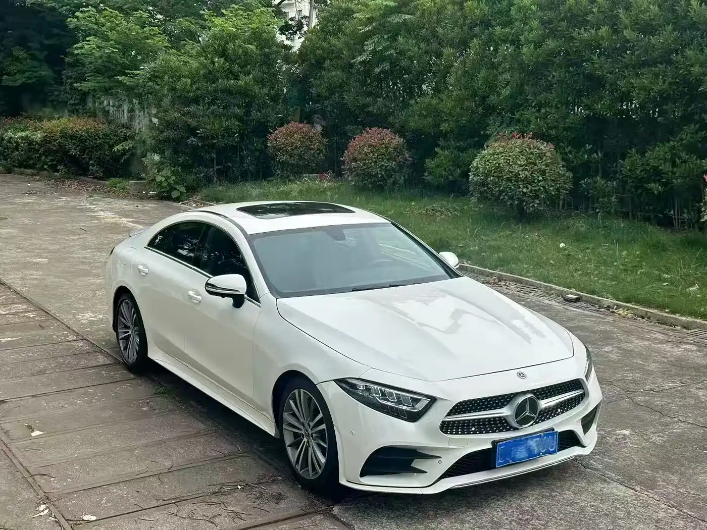 Mercedes-Benz CLS 2021 CLS 300 Luxury фото 3