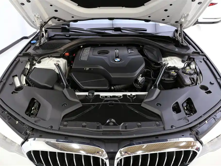 BMW 5 Series 2018 530Li Leading Luxury Package фото 23