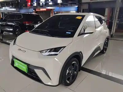 BYD Seagull