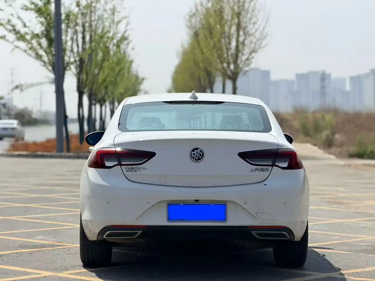 Buick Regal 2020 552T Elite фото 8