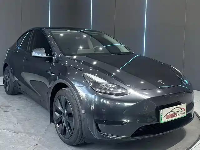 Tesla Model Y 2024 Rear-Wheel Drive Version — фото 3