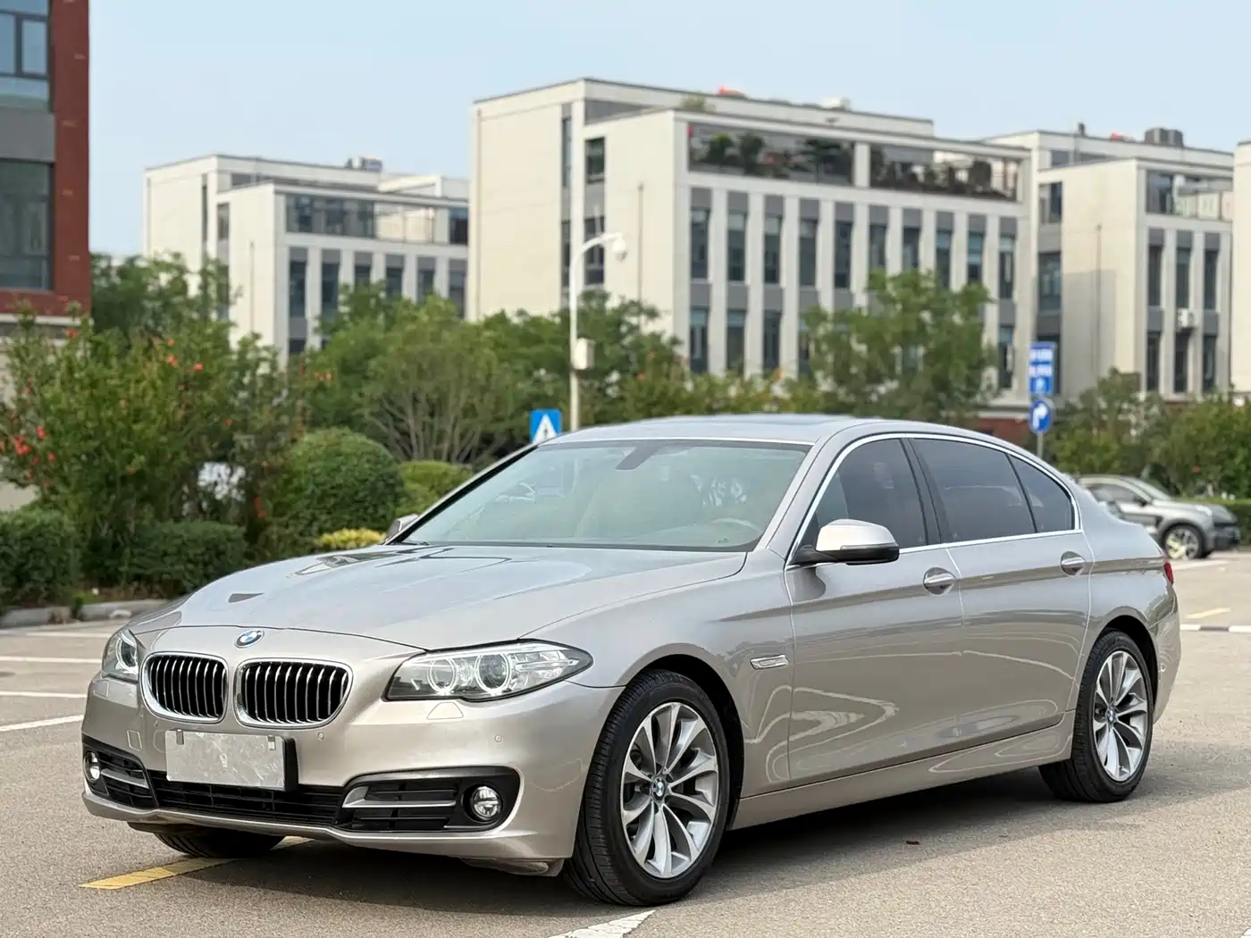 BMW 5 Series 2017 525Li Luxury Design Package