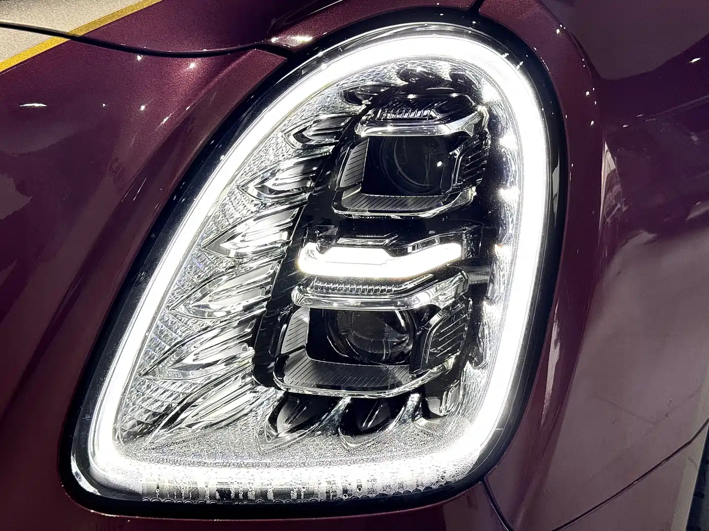 Hongqi Guoya 2024 4.0T V8 Version фото 8