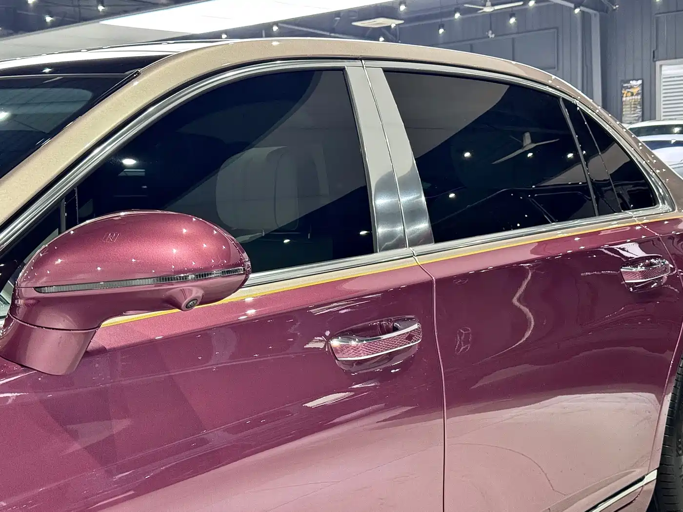 Hongqi Guoya 2024 4.0T V8 Version фото 13
