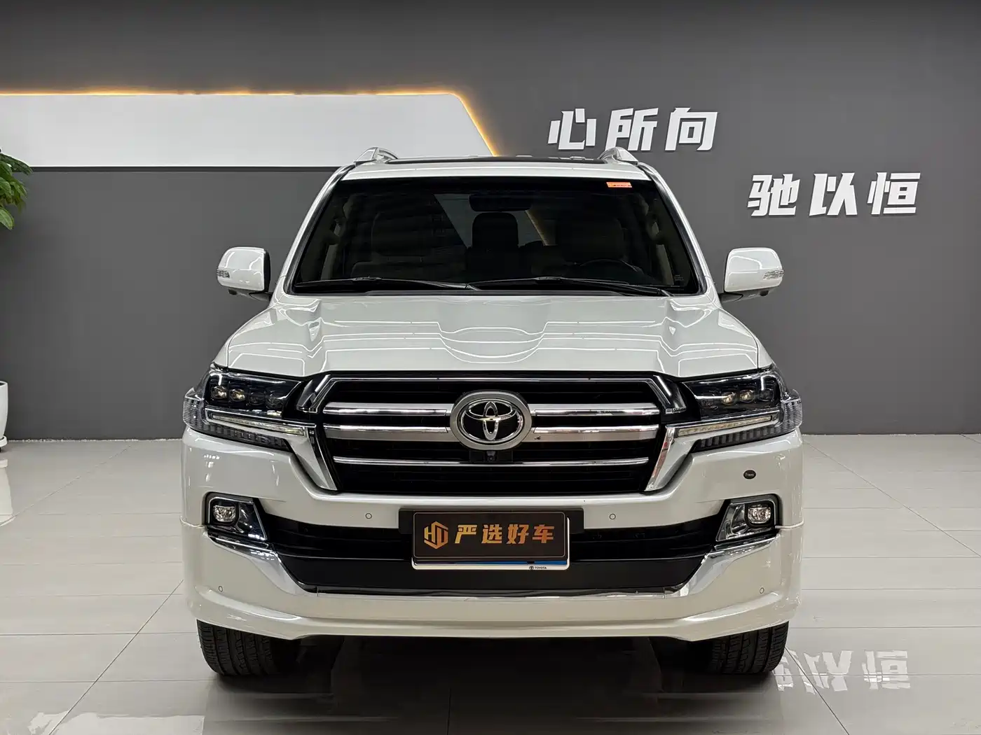 Toyota Land Cruiser (Import) 2020