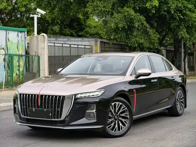 Hongqi H5 2024 2.0T Automatic Smart Connect Flag Smooth Edition — фото 1