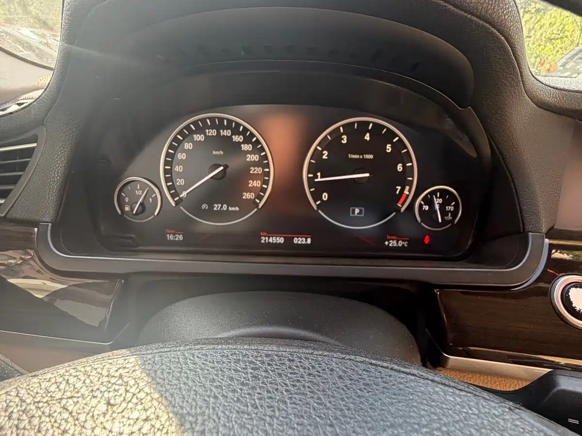 BMW 7 Series 2009 730Li Leading фото 8