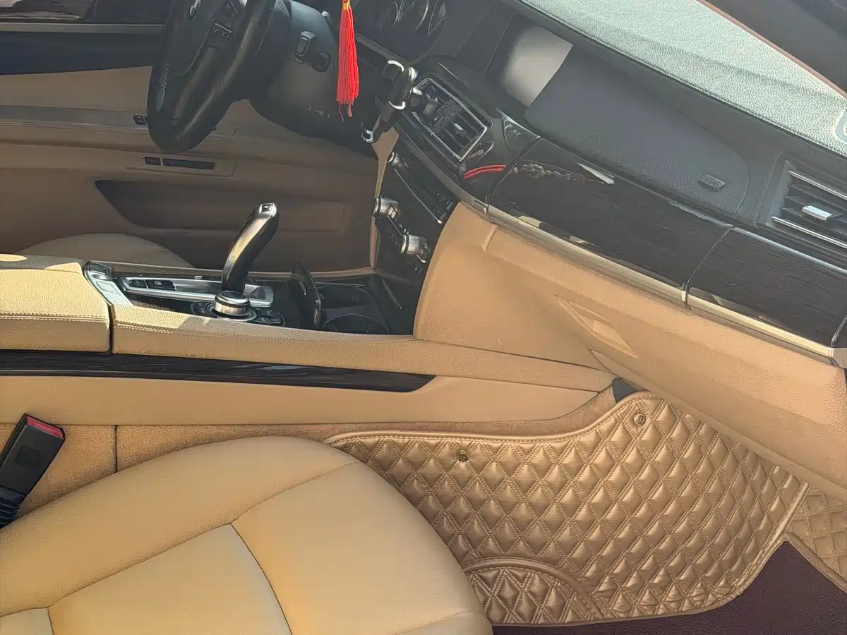 BMW 7 Series 2009 730Li Leading фото 7