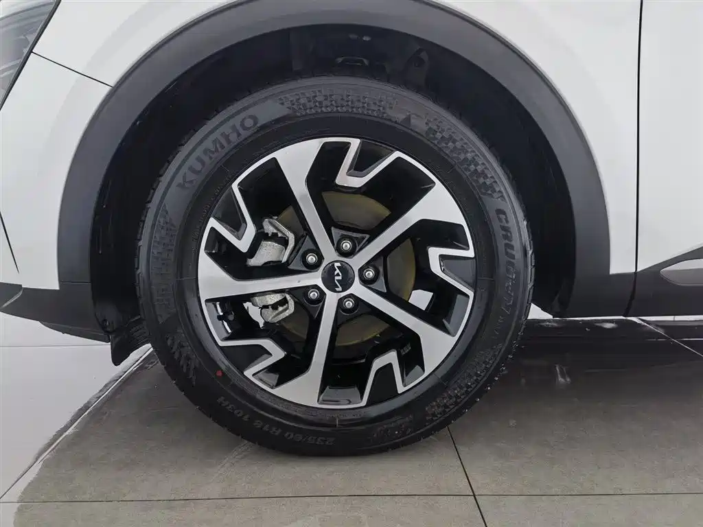 KIA LION PLATINUM EXPANDS THE WORLD