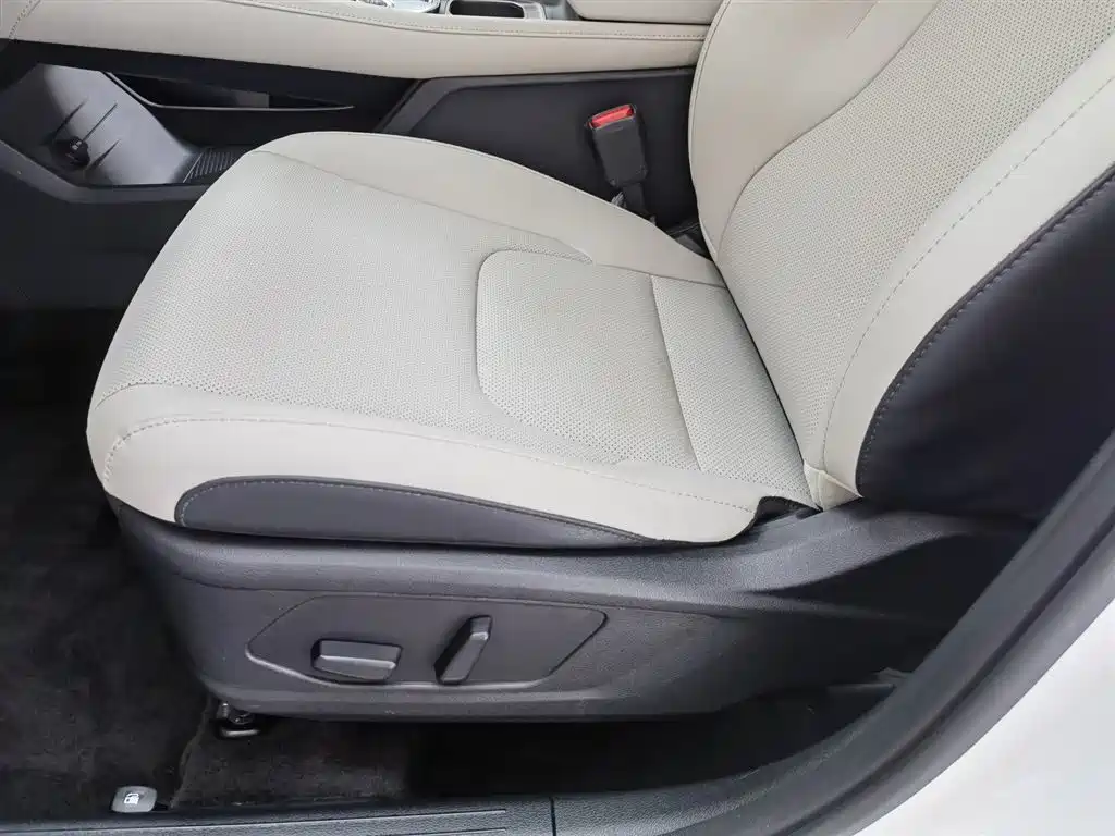 KIA LION PLATINUM EXPANDS THE WORLD