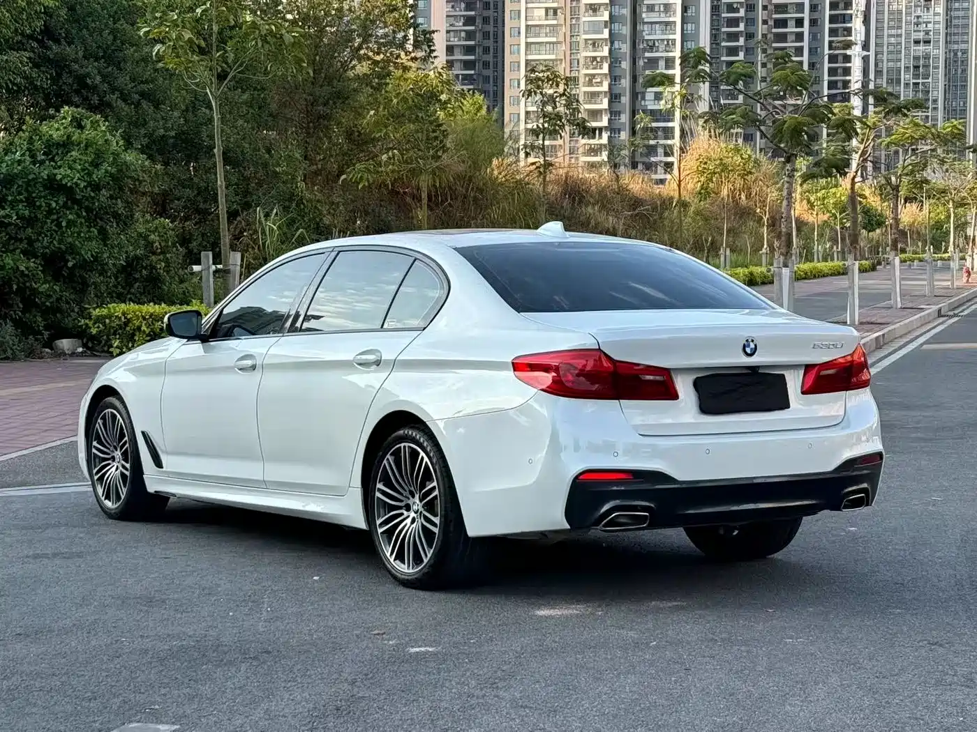 BMW 5 Series 2019 530Li Premium M Sport Package фото 9