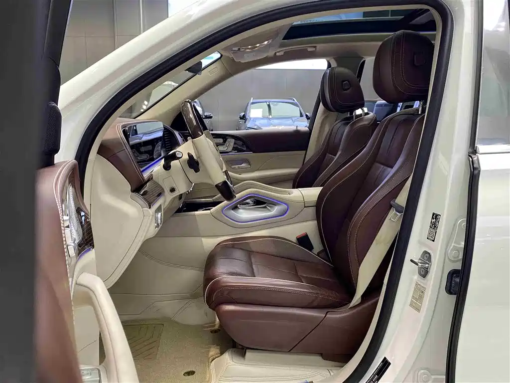 Mercedes-Benz Maybach GLS 2021 GLS 480 4MATIC фото 11