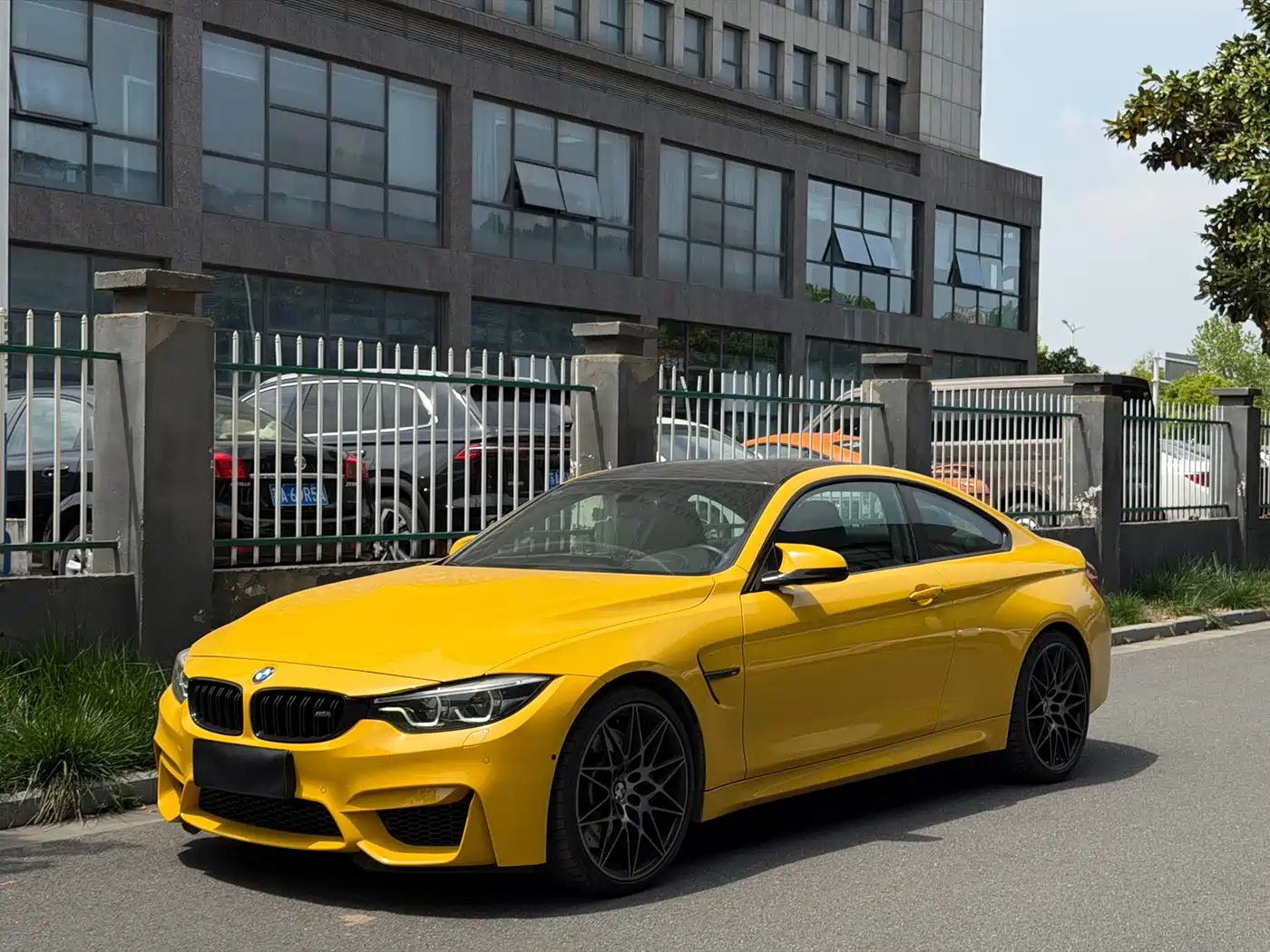 BMW M4 2017 M4 Coupe Fans Limited Edition