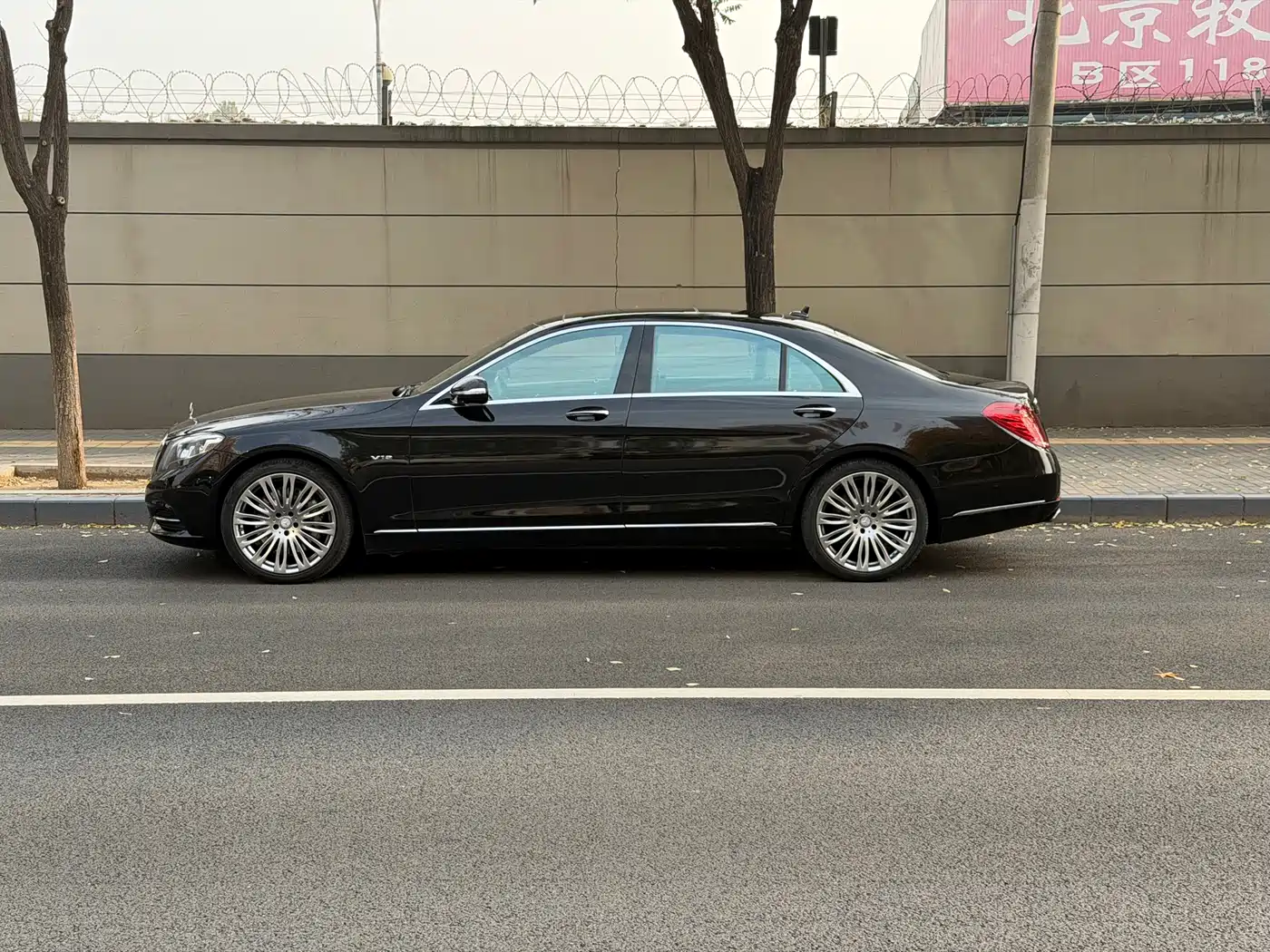 Mercedes-Benz S-Class 2014 S 600 L фото 5