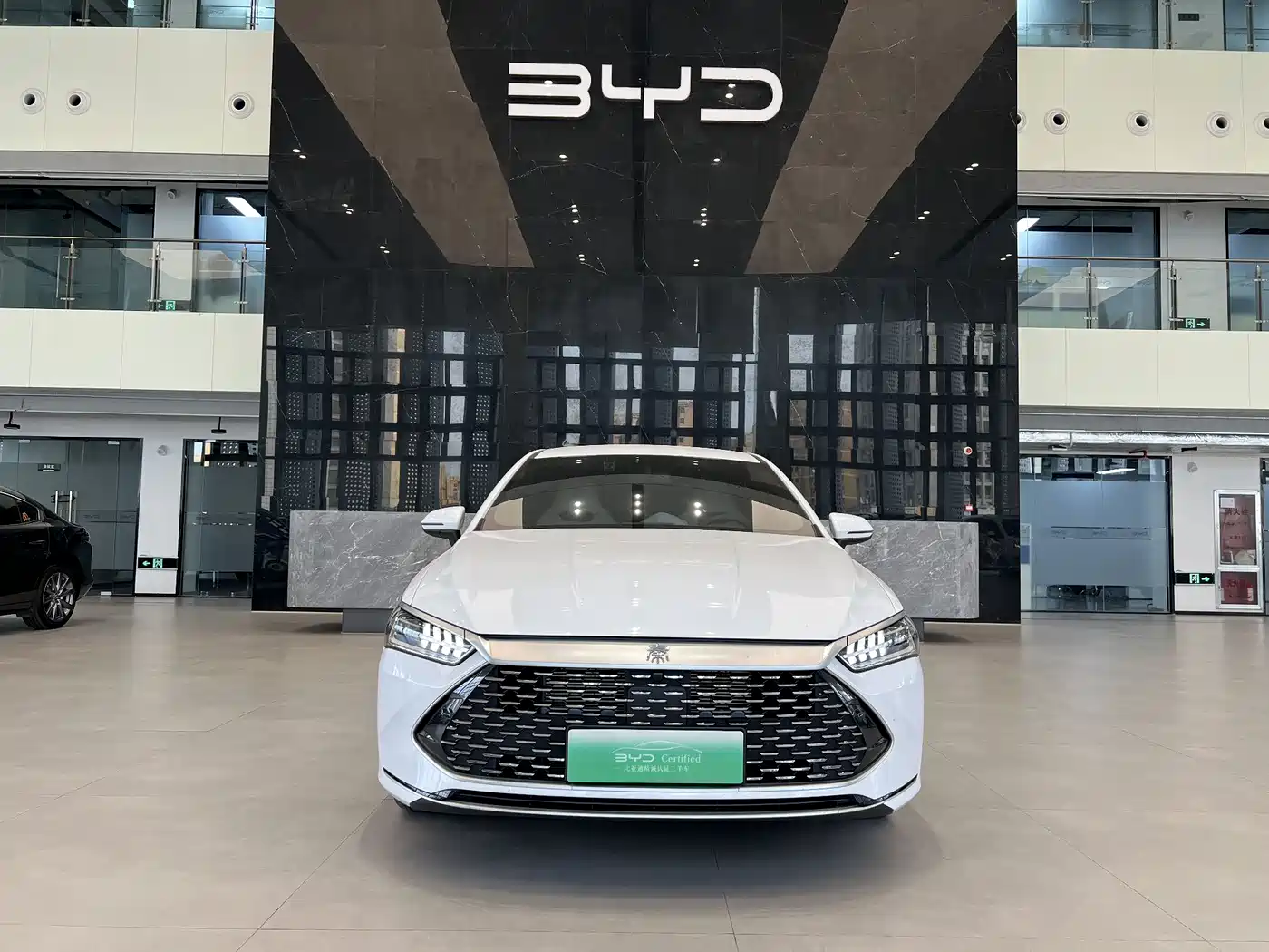 BYD Qin PLUS 2024 Glory Edition DM-i 55KM Leading фото 2